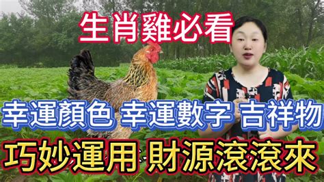 雞幸運顏色|2025年屬雞人的幸運顏色是什麼？全面解析與建議